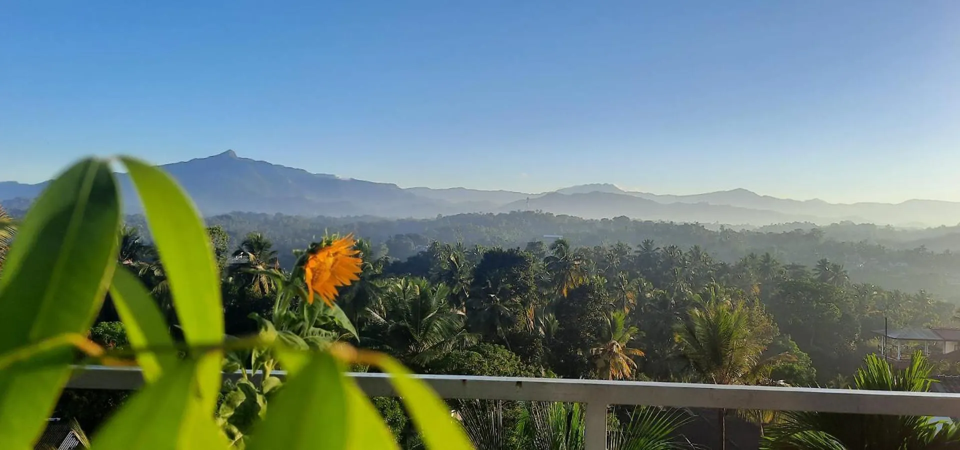 Royal Retreat ,Kandy Country house Kandy